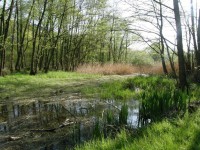/album/fotogalerie-toulcuv-dvur-ekologicke-centrum-a-farma/toulcuv-dvur18-jpg/